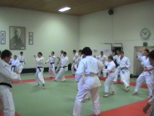 technischer_judo_kurs_mit_hiroshi_katanishi_vom_10april_2010_20121104_1806210352