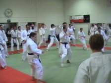 technischer_judo_kurs_mit_hiroshi_katanishi_vom_10april_2010_20121104_1940113796